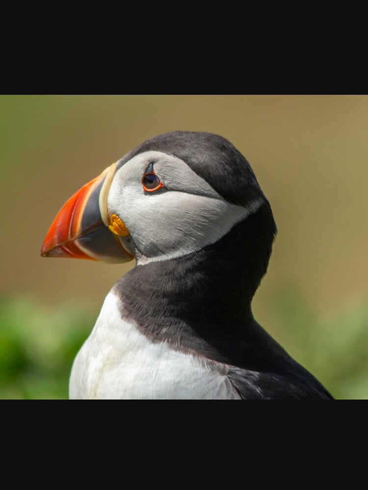 Skomer Puffin by DawnsArt92