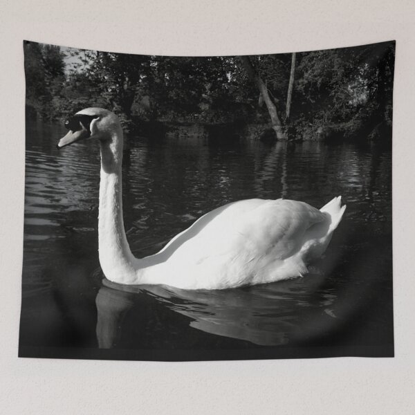 Artikelvorschau, Schwarzweiss-Schwan-monochromes Foto entworfen und verkauft von DesignsofNote.