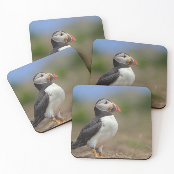 Item preview, Skomer Puffin 2 designed and sold by DawnsArt92.