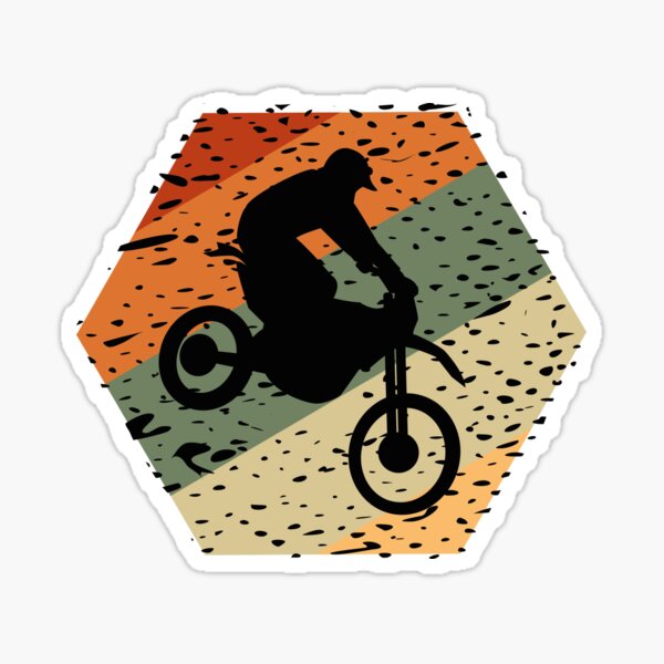 VINTAGE sticker Lot of 3 TEAM SWOLEN Moto Motorcross RARE 90's Orange 