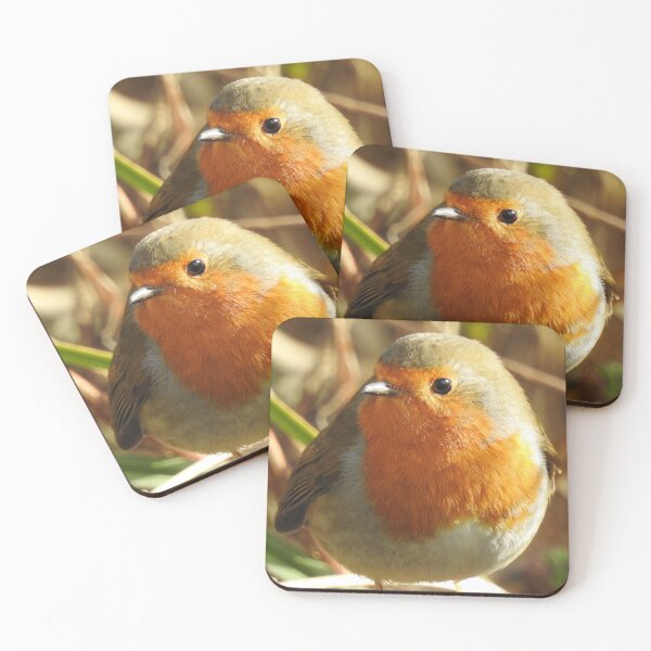 Item preview, Robin red breast close up designed and sold by Gaynor-dI.