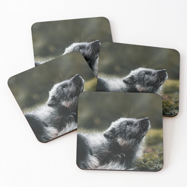 Item preview, arctic fox designed and sold by LouisaLilja.