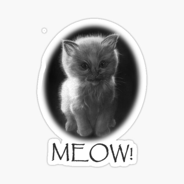 Cute meowing kitten Sticker