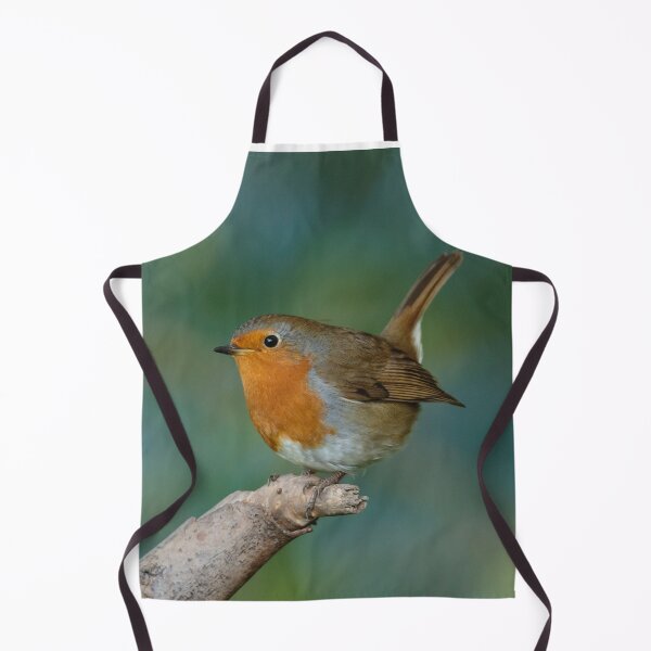 Item preview, Perky Robin Redbreast designed and sold by Dalyndigital Photography.