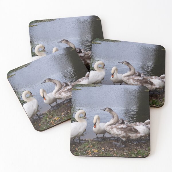 Item preview, Looking after the family designed and sold by Josie Gilbert.