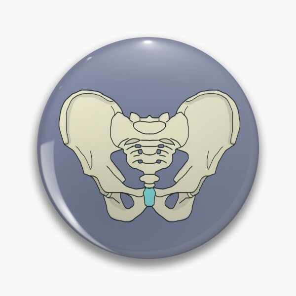 Item preview, HUman pelvis designed and sold by Pasan-hpmm.