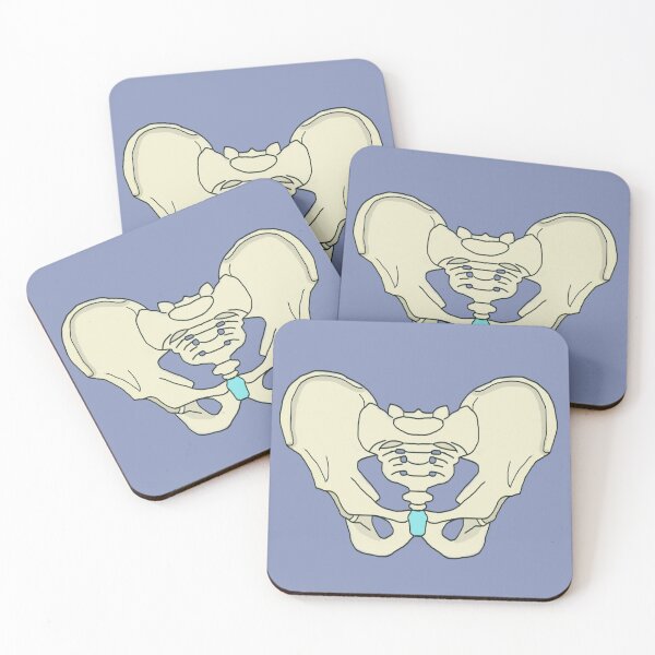 Item preview, HUman pelvis designed and sold by Pasan-hpmm.