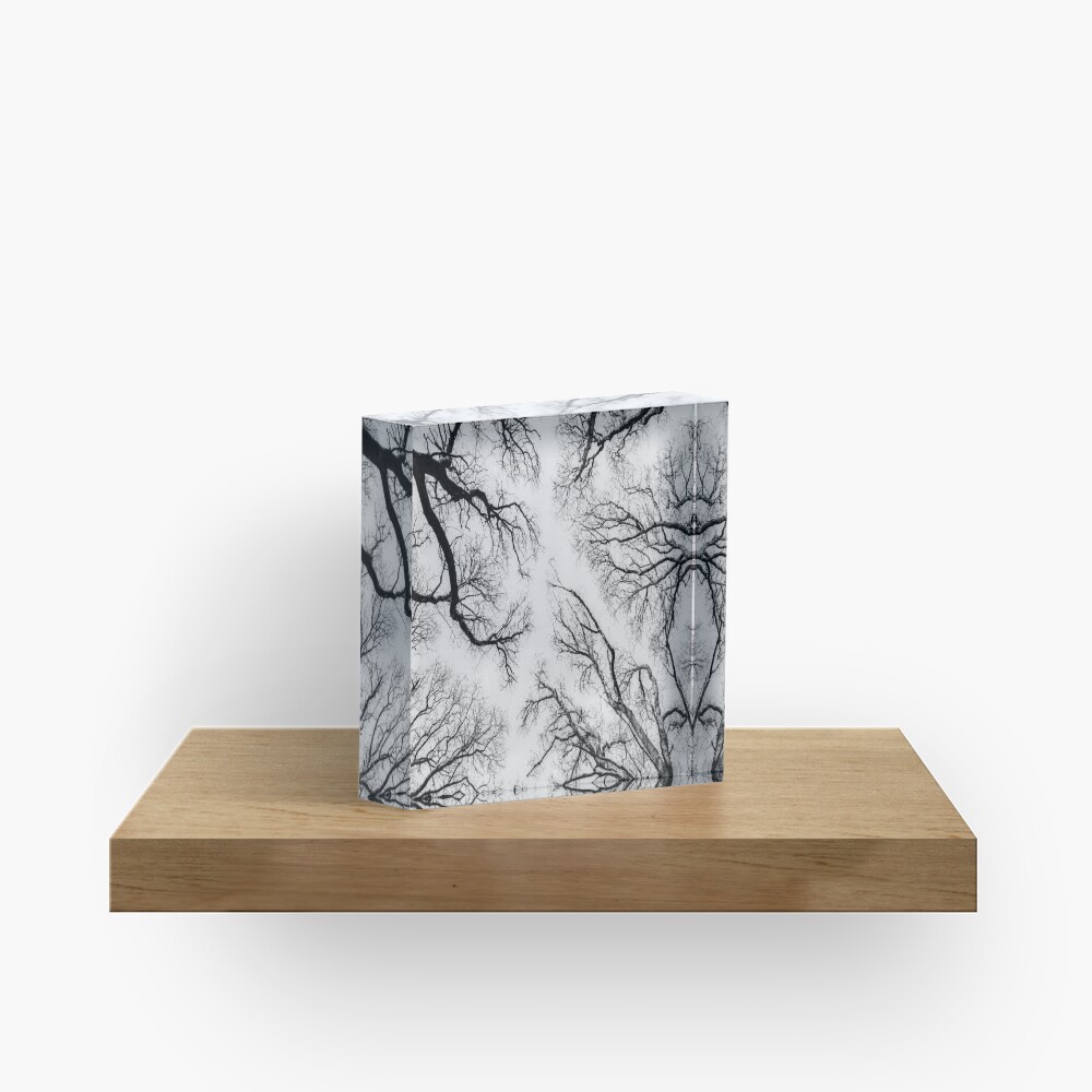 Item preview, Acrylic Block designed and sold by davecurrie.