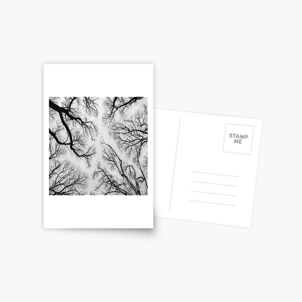 Item preview, Postcard designed and sold by davecurrie.