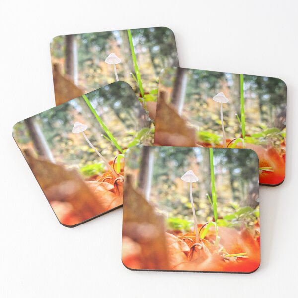 Item preview, Very slim mushroom standing in the forest designed and sold by Walderfahrung.