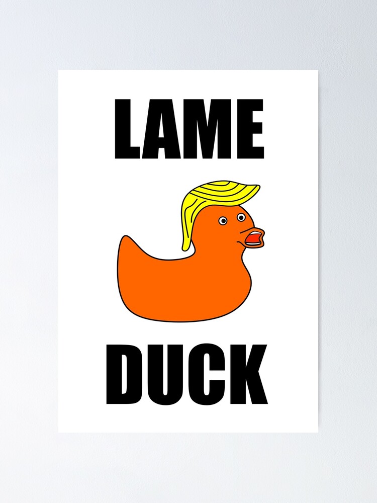 Poster Canard Boiteux Canard En Caoutchouc Trump Par Splottersguide Redbubble