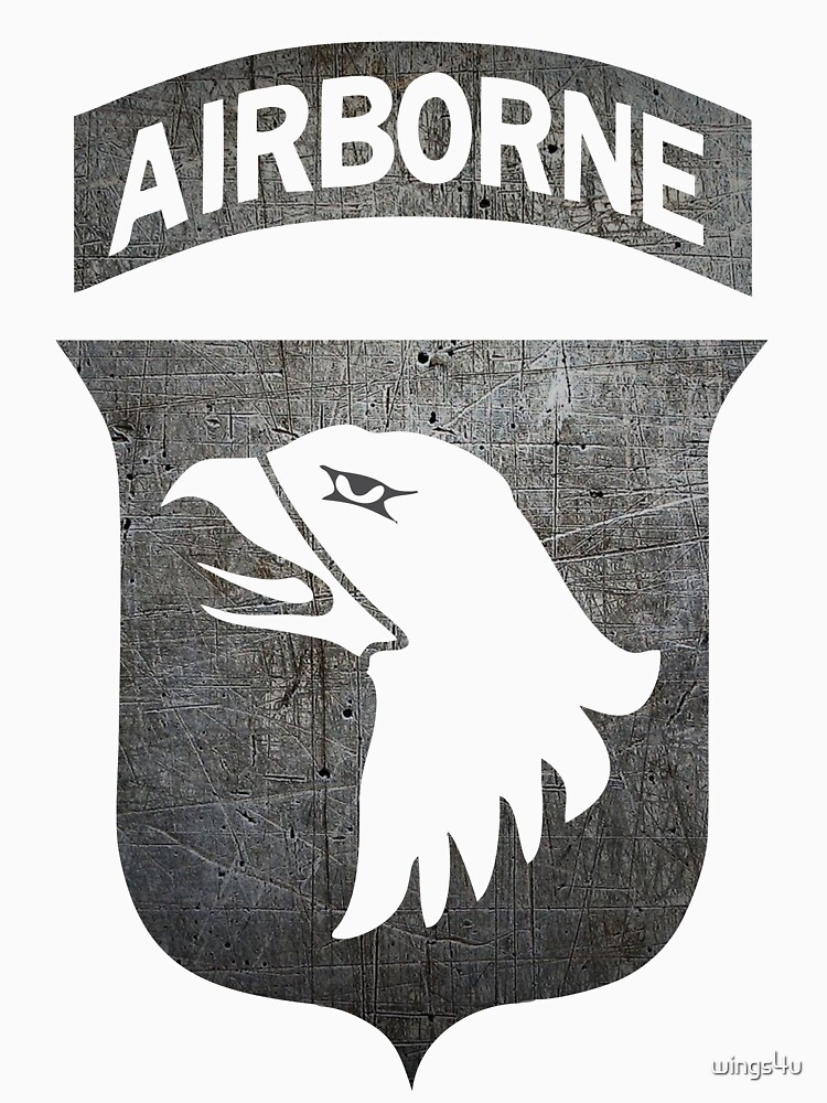 Model 101 - Airborne by wings4u