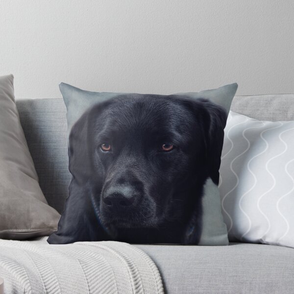 Item preview, black Labrador designed and sold by lucyliu.
