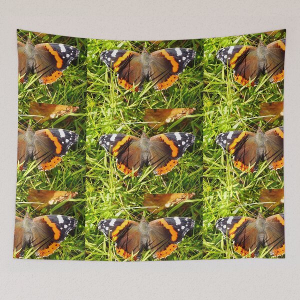 Item preview, red admiral designed and sold by pinkal.