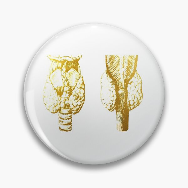 Item preview, Anatomy of human thyroid gland designed and sold by Liededrom..