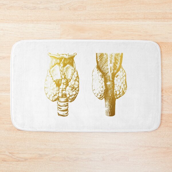 Item preview, Anatomy of human thyroid gland designed and sold by Liededrom..