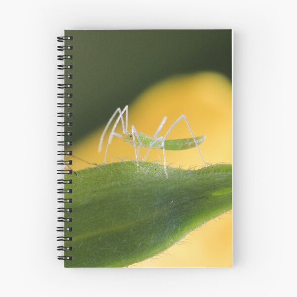 Item preview, After Molting designed and sold by Gary Horner.