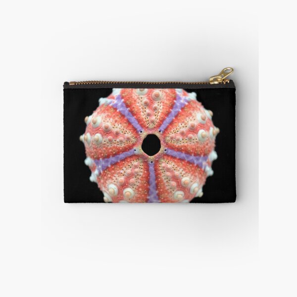 Item preview, Coelopleurus maculatus designed and sold by MotherOfUrchins.