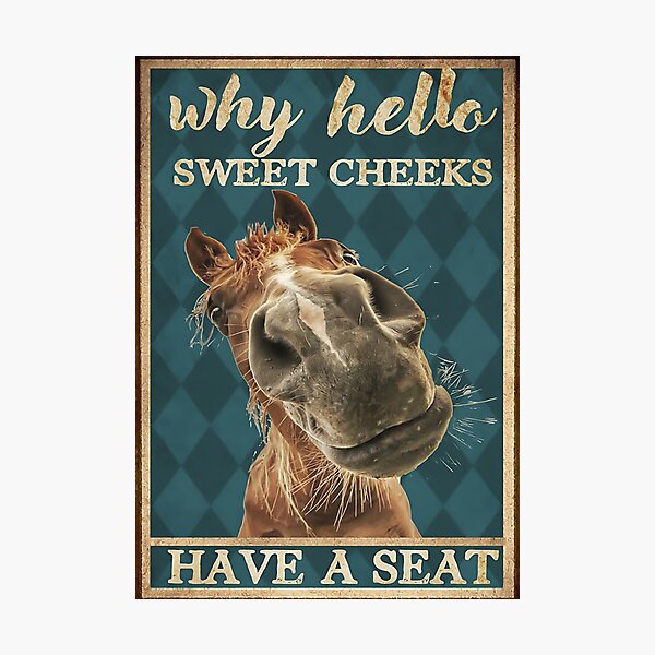 hello sweet horse Photographic Print