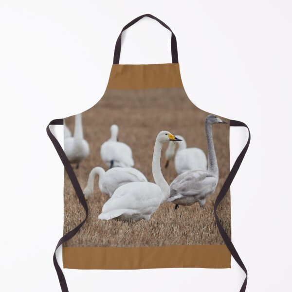 Item preview, Too much for one mouth. Whooper swans designed and sold by Jouko Lehto Photography.