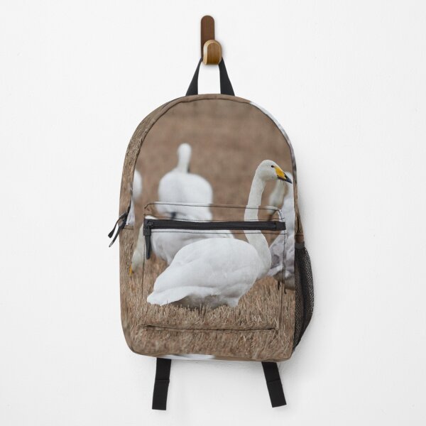 Item preview, Too much for one mouth. Whooper swans designed and sold by Jouko Lehto Photography.
