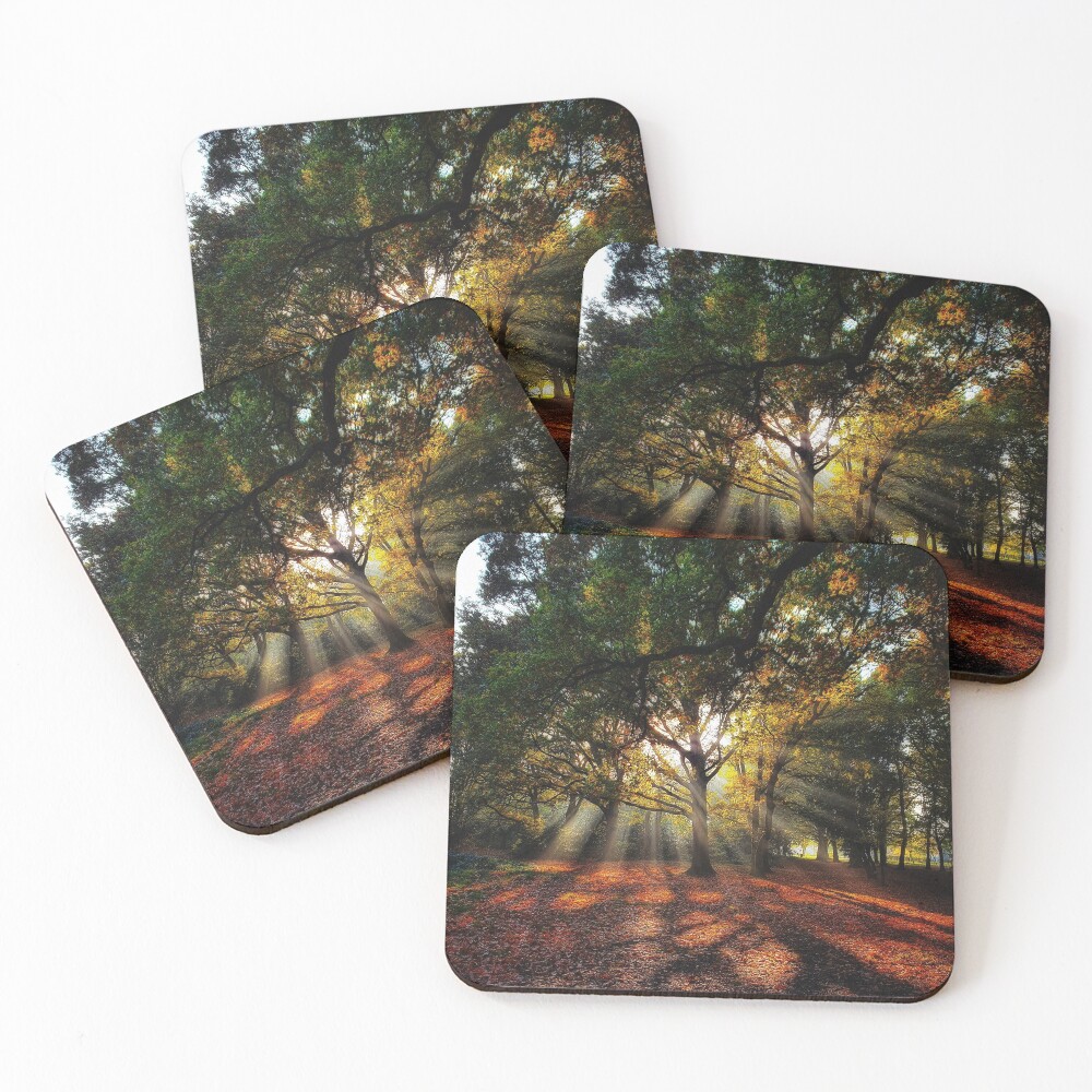 Item preview, Coasters (Set of 4) designed and sold by TerriWatson.