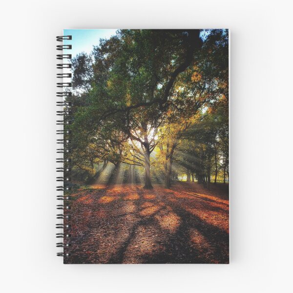 Item preview, Autumn Rays designed and sold by TerriWatson.