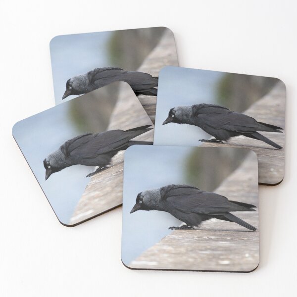 Item preview, Contemplative Jackdaw designed and sold by Dave Currie.