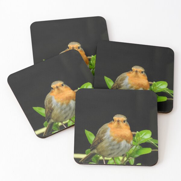 Item preview, Robin with a black background designed and sold by Gaynor-dI.