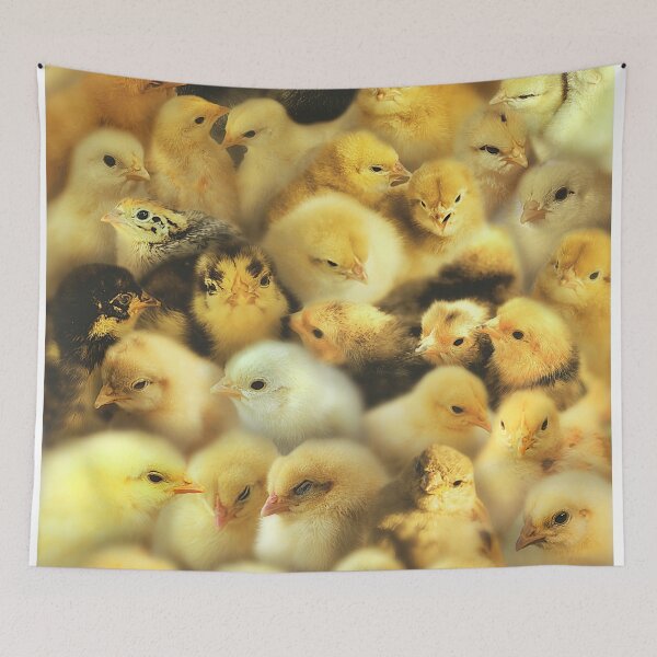 Item preview, Chicks designed and sold by MaxencePierrard.