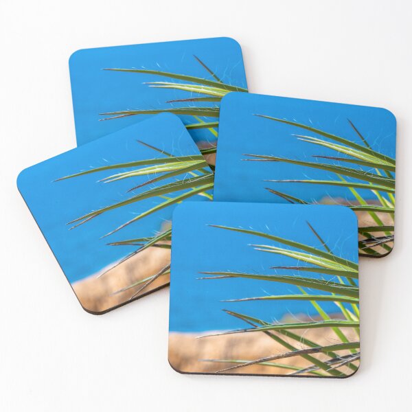 Item preview, Yucca Evergreen Plant in San Diego Desert designed and sold by debbieannpowell.