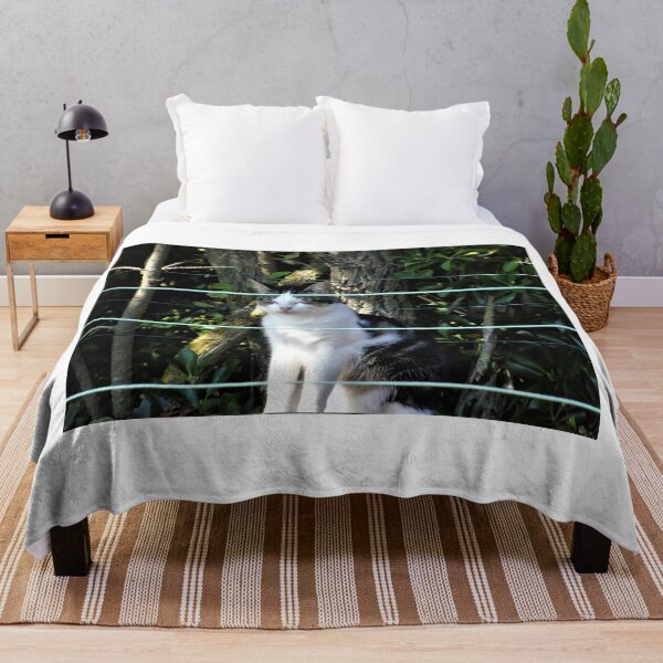 Aperçu de l'œuvre Sieste de chat créée et vendue par ART22.