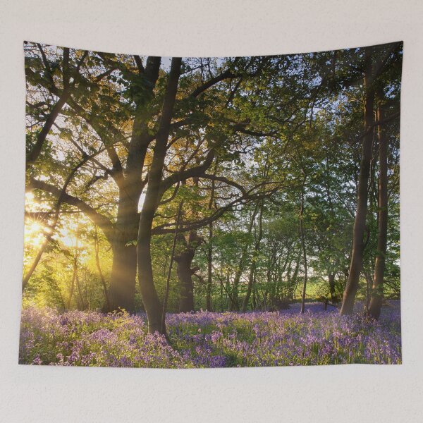 Item preview, Sunrise in bluebell woods in Norfolk UK designed and sold by simonbratt.