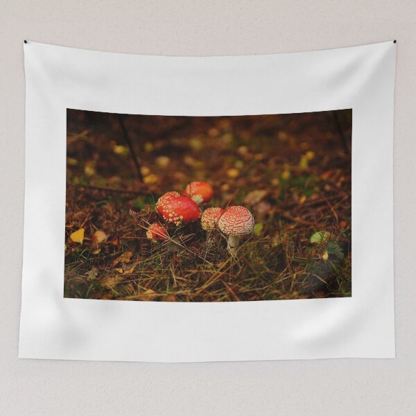 Item preview, Autumn in Brittany designed and sold by LudovicPonzio.