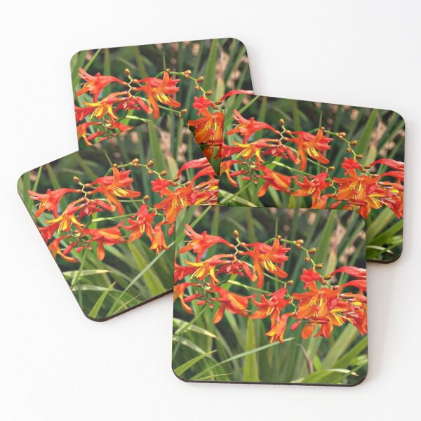 Item preview, Orange Flowers designed and sold by Jo Jurkiewicz.