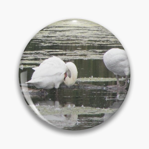 Item preview, Cisne Stillife designed and sold by ArtOfE.
