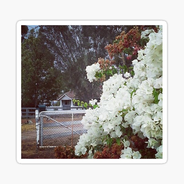 House Behind White Blooms Sticker