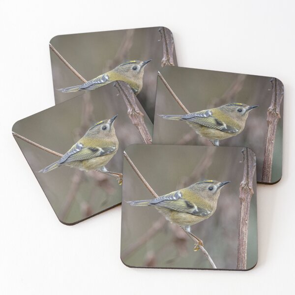 Item preview, Goldcrest (Regulus regulus) designed and sold by Steve Liptrot Photography.