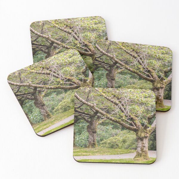Item preview, Cherry Trees In The Park designed and sold by debbieannpowell.