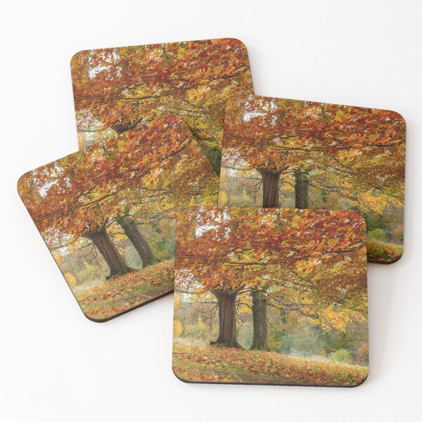 Item preview, Trees in autumn colour designed and sold by Victoria Ashman.