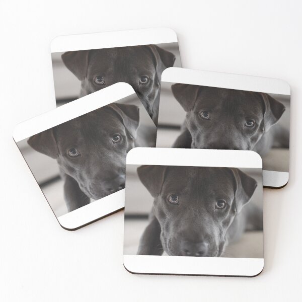 Item preview, Pitbull,  designed and sold by Hooligans86.