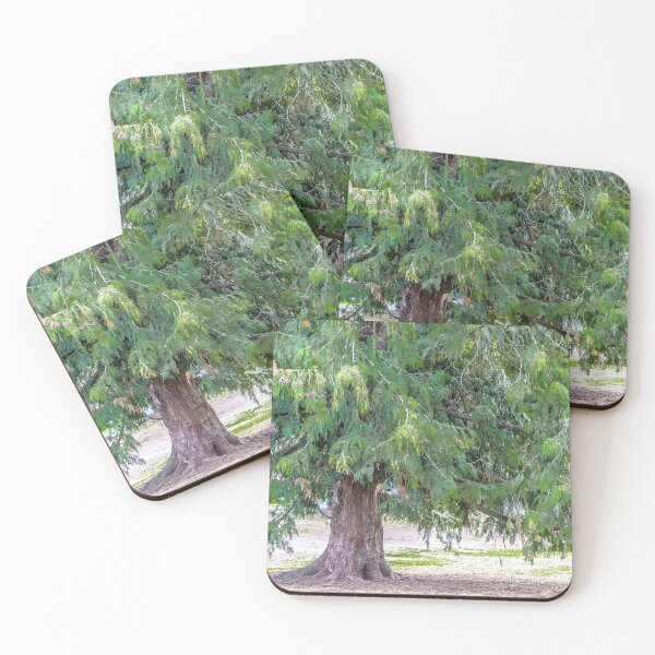 Item preview, Tree Love designed and sold by debbieannpowell.