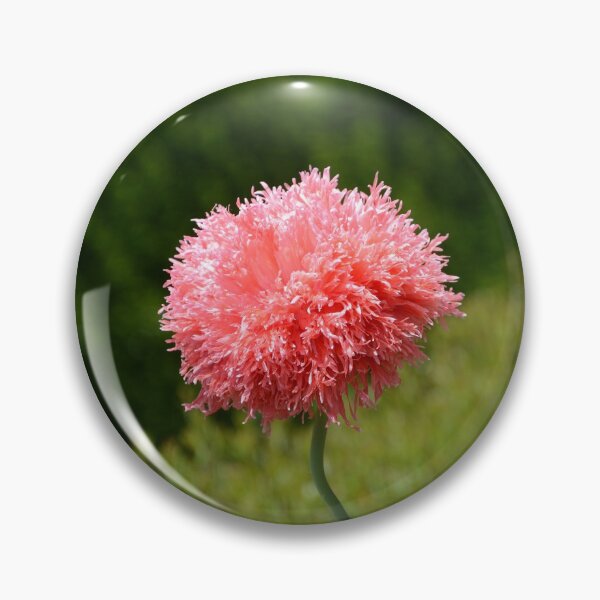 Item preview, Pink Powder Puff!! designed and sold by NancyKHajjar.
