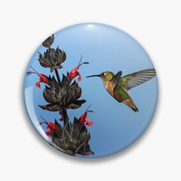 Artikelvorschau, Hummingbird Feeding on a Sunny Day entworfen und verkauft von PsychoAlien.com.