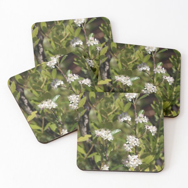 Item preview, Delicate White Flowers designed and sold by Jo Jurkiewicz.