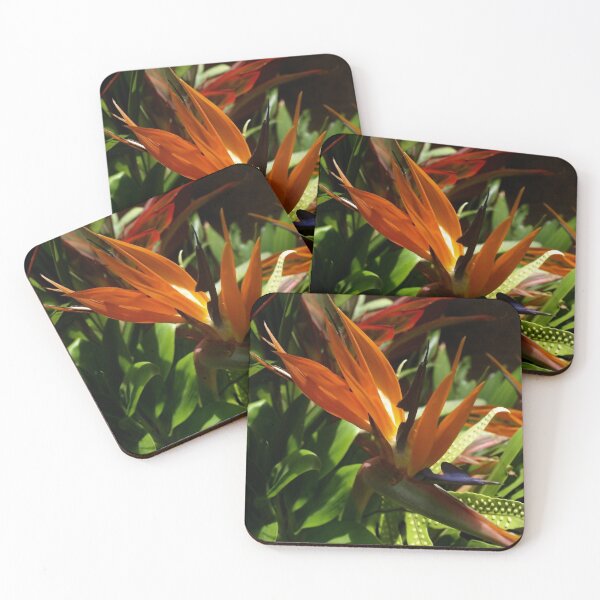 Item preview, Bird of Paradise designed and sold by Jo Jurkiewicz.