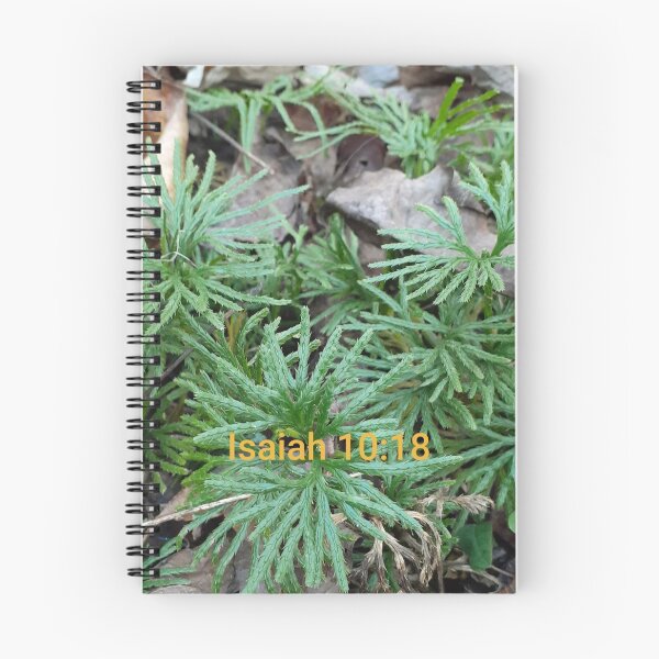 Item preview, Forest Floor designed and sold by Jaroffaith.