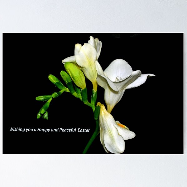 Item preview, Easter Time ......... designed and sold by lynn carter.
