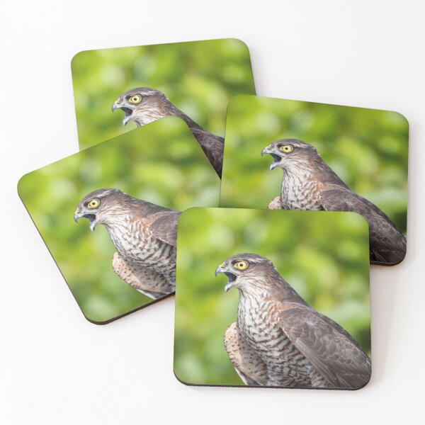 Item preview, Eurasian Sparrowhawk (Accipiter nisus) designed and sold by Logopad.