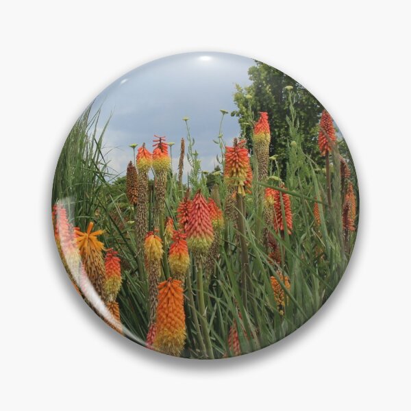 Item preview, Red Hot Pokers designed and sold by lesleywey.